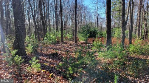 0 Deer Creek Rd, Morrisdale, PA, 16858 | Card Image