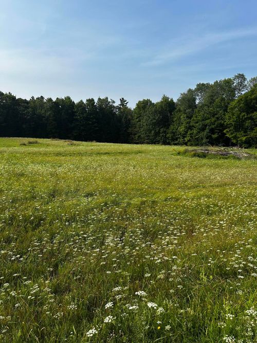 TBD Bond Road, Corinna, ME, 04928 | Card Image