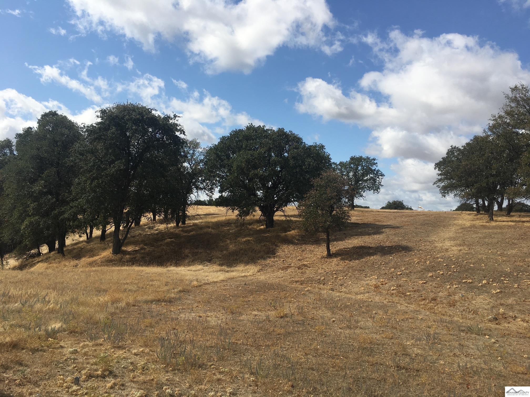 Land in Cottonwood 5