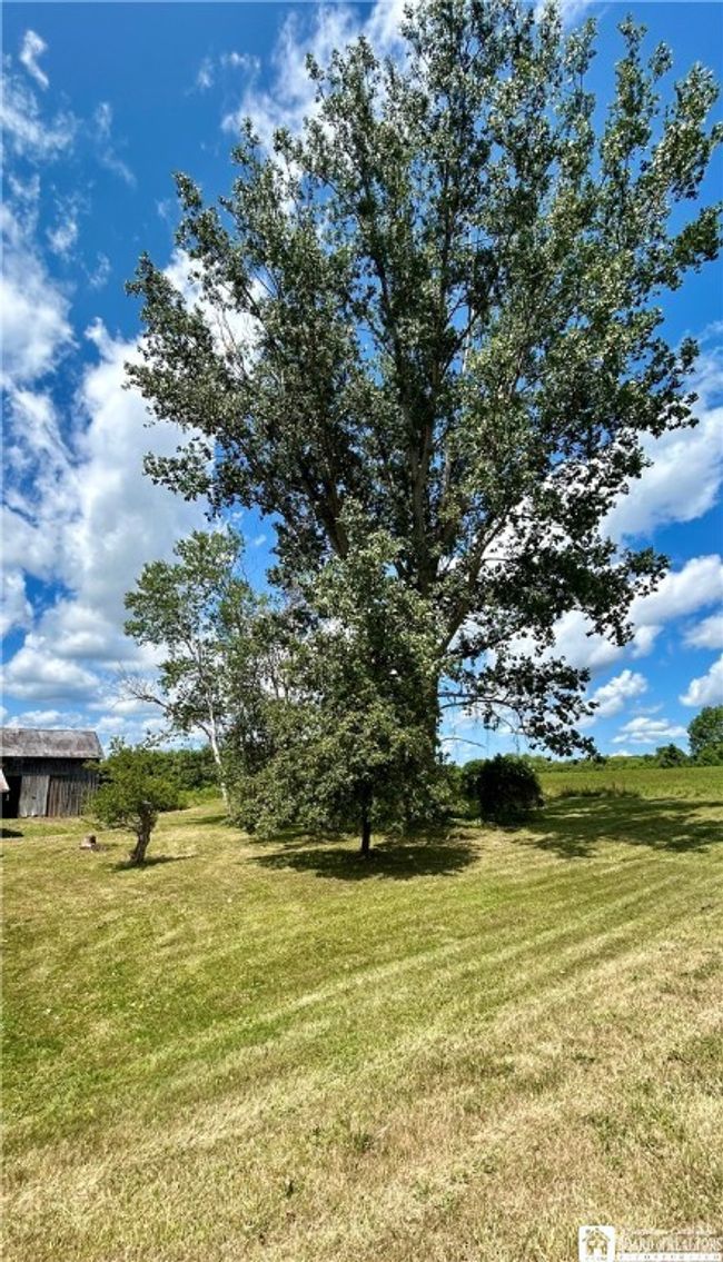 3265 Route 394, Home with 4 bedrooms, 2 bathrooms and null parking in Randolph NY | Image 43