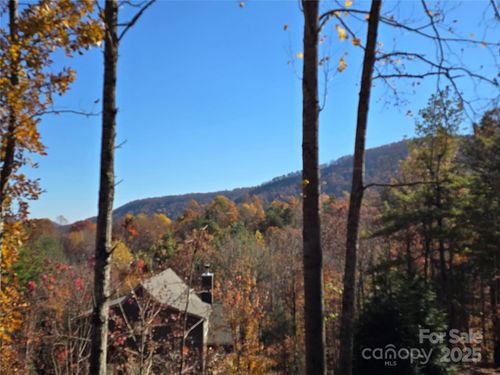 50-295 S Feather Falls Trl, Black Mountain, NC, 28711-0589 | Card Image