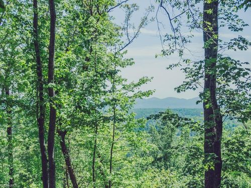 TBD Hawkins Grove Rd, Mc Grady, NC, 28649 | Card Image