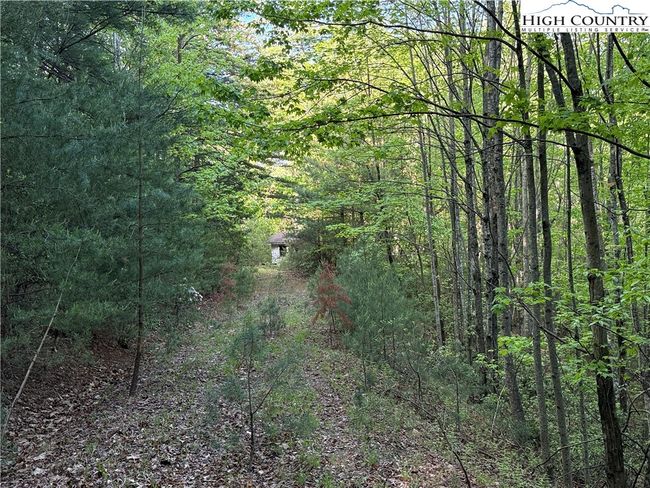 27 Wolf Pen Rd, Home with 0 bedrooms, 0 bathrooms and null parking in Purlear NC | Image 7