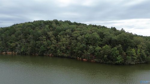 1 Blue Pond Rd, Leesburg, AL, 35983-3814 | Card Image