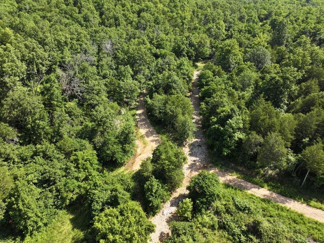 dji_fly_20250620_103300_0030_17504331088 | Image 16