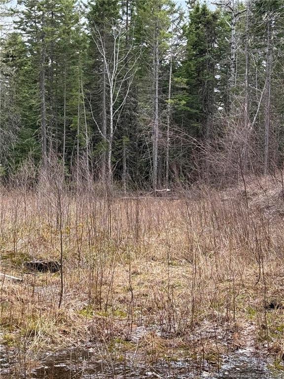 Land in Saint-Paul 3
