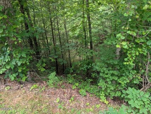 0000 Ski Mountain Rd, Gatlinburg, TN, 37738 | Card Image