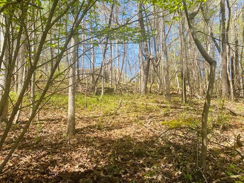 TBD Tanasi Dr, Newport, TN, 37821 | Card Image
