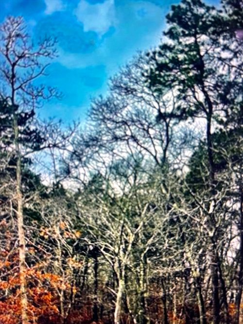 2 Old Farms Trl, Edgartown, MA, 02539-6619 | Card Image