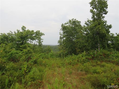 000 Forest Road 2083, Bunker, MO, 63629 | Card Image