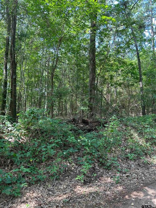 532 Jerome St, Rusk, TX, 75785 | Card Image