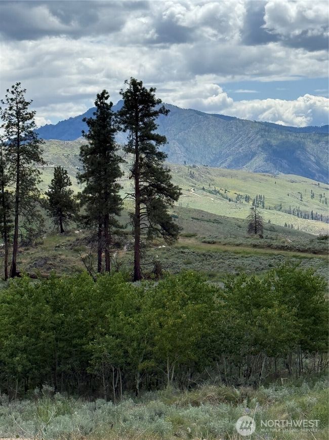 Trees boarder the property. | Image 20