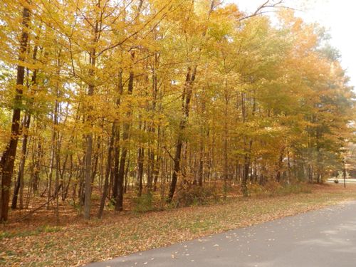 1 Harlan Dr, Watervliet, MI, 49098 | Card Image