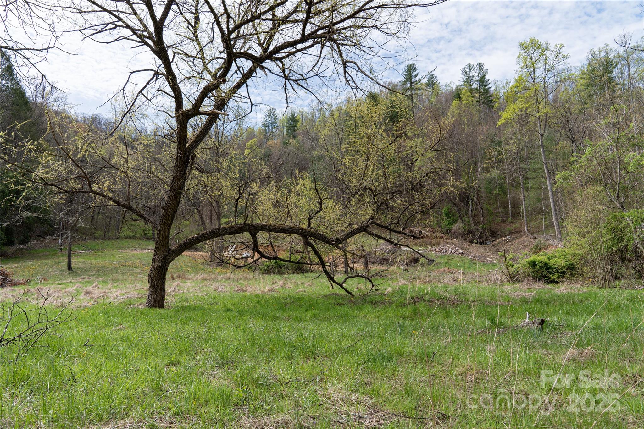 Land in Mars Hill 3