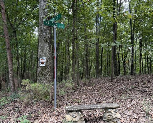 Lot 1065 Mayfield Ln Ne, Ranger, GA, 30734-6742 | Card Image