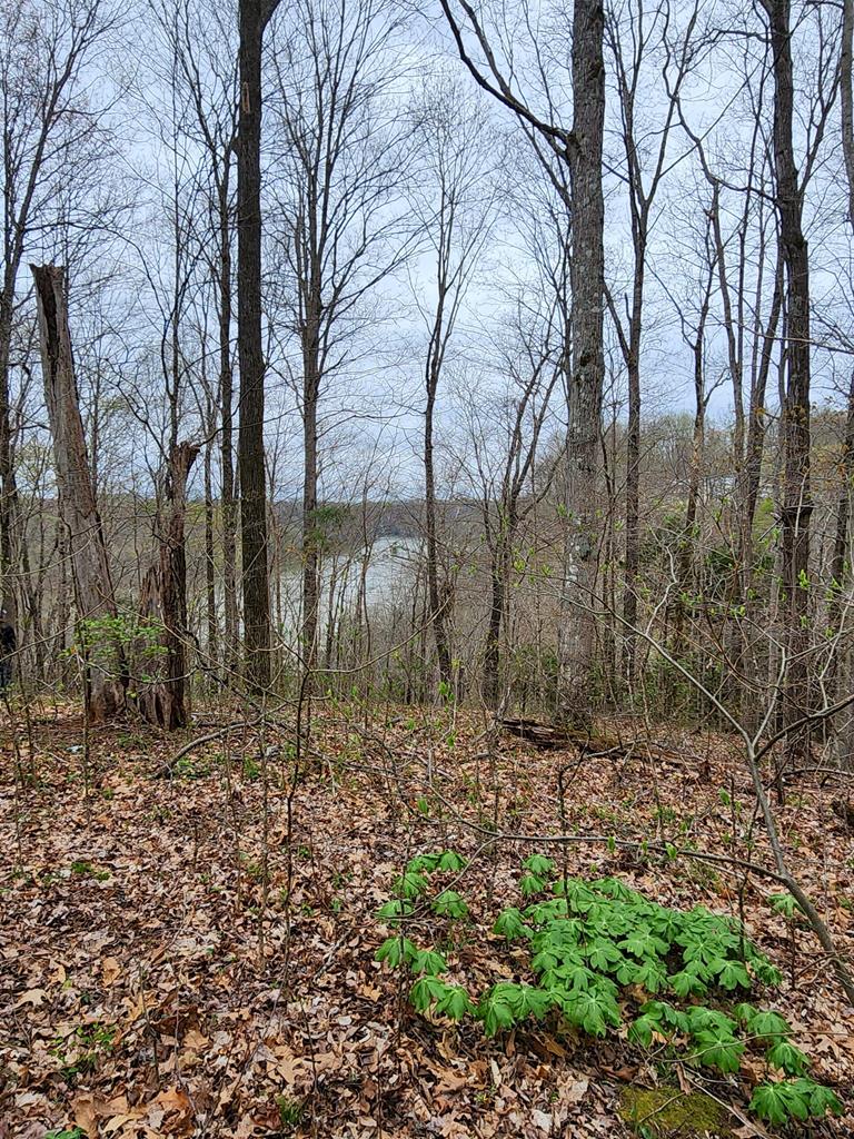 Land in Albany 4