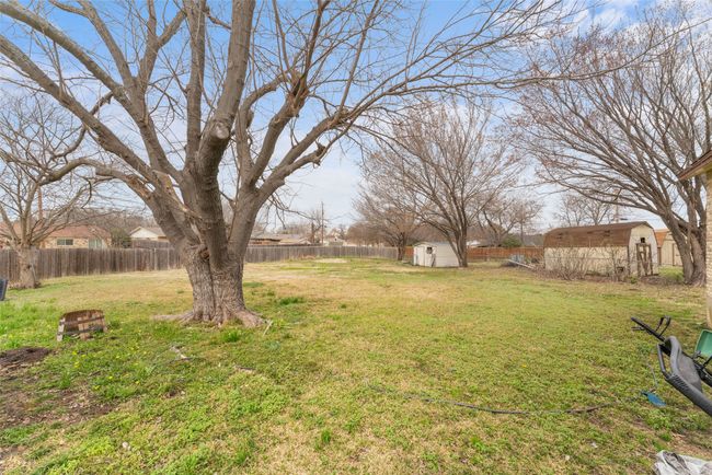 View of yard with a shed | Image 8