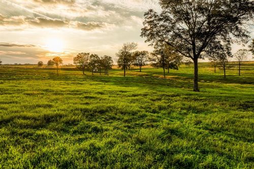 TBD Sunshine Lot 16 Court, Chappell Hill, TX, 77426 | Card Image