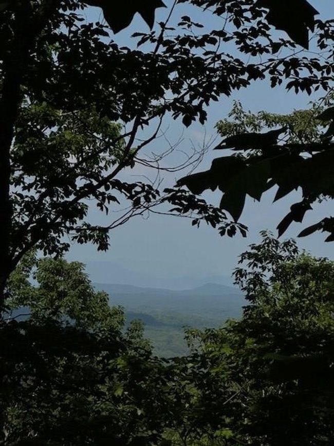 16 Ac Campbell Cove Creek Rd, Home with 0 bedrooms, 0 bathrooms and null parking in Turtletown TN | Image 14