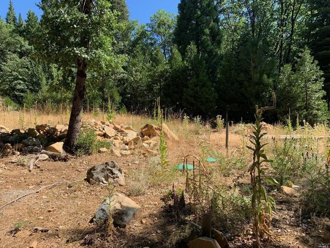 103 Lewis Ln, Home with 0 bedrooms, 0 bathrooms and null parking in Sierra City CA | Image 7