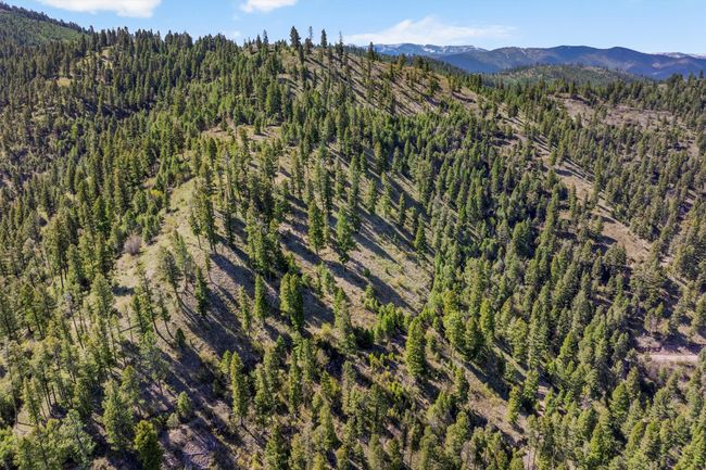 25575 Patter Spur Rd, Home with 0 bedrooms, 0 bathrooms and null parking in Clinton MT | Image 32