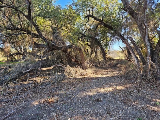 442 Hollow Dr, Home with 0 bedrooms, 0 bathrooms and null parking in Lipan TX | Image 12