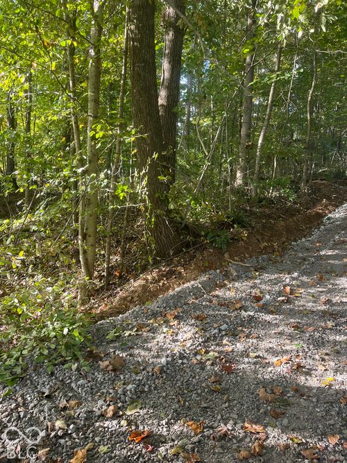 Tract 7 Sunnyside Road, Deputy, IN, 47230 | Card Image