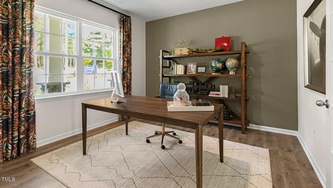 Study | Image 4