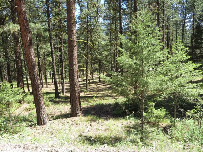 13567 Rosco Rd, House other with 3 bedrooms, 2 bathrooms and null parking in Alberton MT | Image 31
