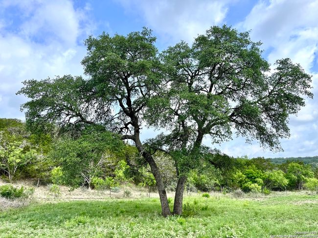 1155 Razor Ridge Rd, Home with 3 bedrooms, 2 bathrooms and null parking in Junction TX | Image 26