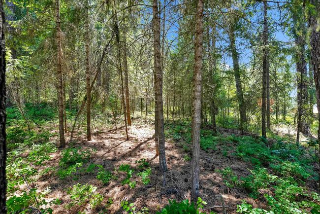 3264 Shady Ct, Home with 0 bedrooms, 0 bathrooms and null parking in Valley WA | Image 6