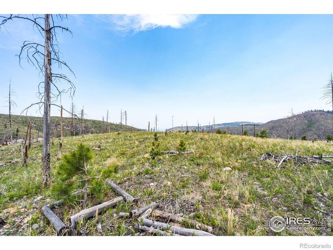 2384 Rist Creek Rd, Home with 0 bedrooms, 0 bathrooms and null parking in Bellvue CO | Image 25