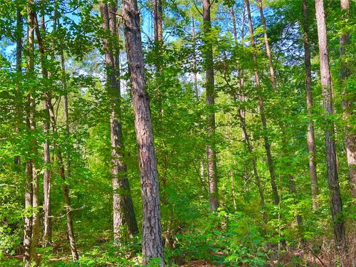 00 Highway 808, Haynesville, LA, 71038 | Card Image