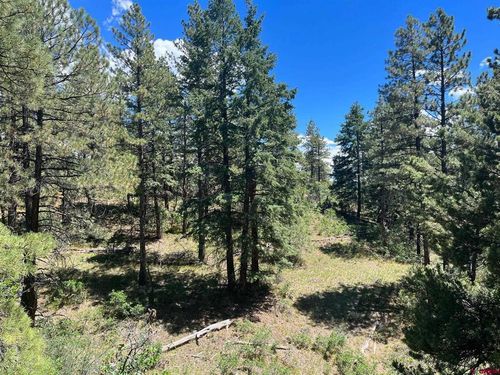 853 Ranchland Dr, Pagosa Springs, CO, 81147 | Card Image
