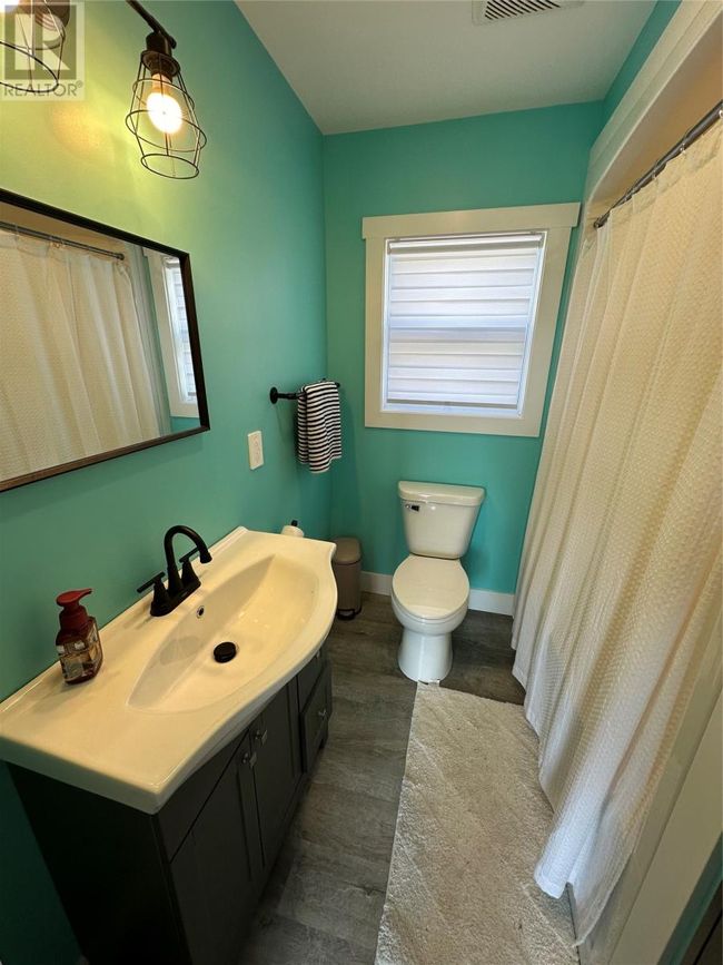 15 Paul's Lake Sideroad, Home with 3 bedrooms, 2 bathrooms and null parking in Badger NL | Image 35
