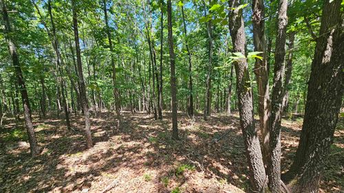 MC Marion County 2085, Peel, AR, 72668 | Card Image