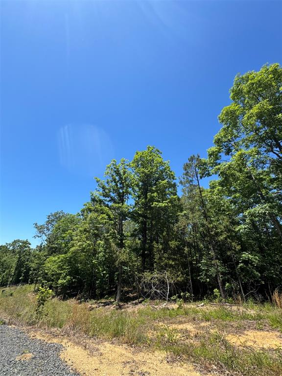 Land in Watson 4