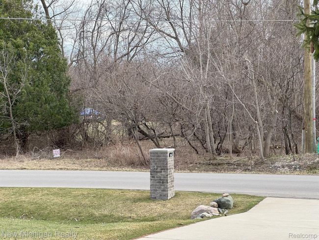 Picture of vacant lot | Image 6