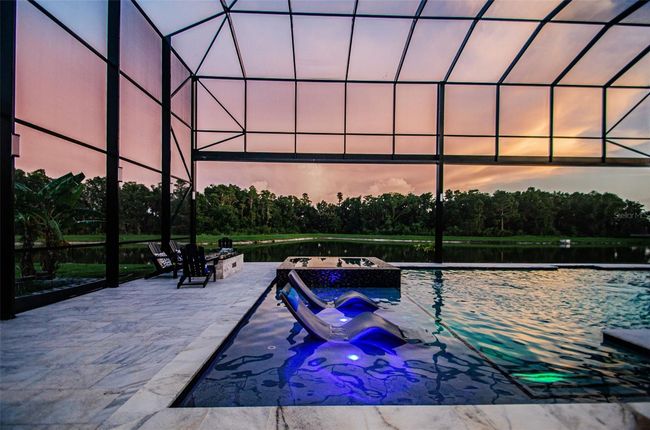 29038 Picana Ln, House other with 4 bedrooms, 4 bathrooms and null parking in WESLEY CHAPEL FL | Image 71