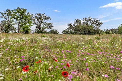 17431 Hickory Creek Rd, Pontotoc, TX, 76869 | Card Image