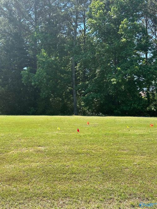 Lot V-8 Copper Leaf Walk, Gadsden, AL, 35901 | Card Image