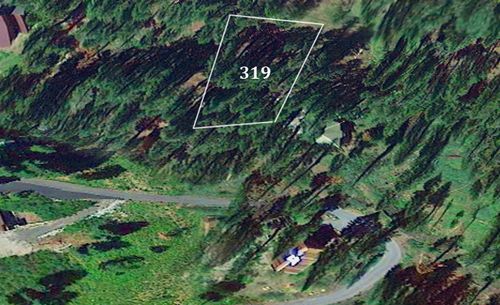 319 Snowshoe Rd, Bear Valley, CA, 95223 | Card Image