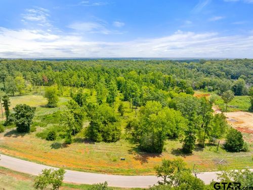 TBD Old Tyler Rd, Whitehouse, TX, 75791 | Card Image