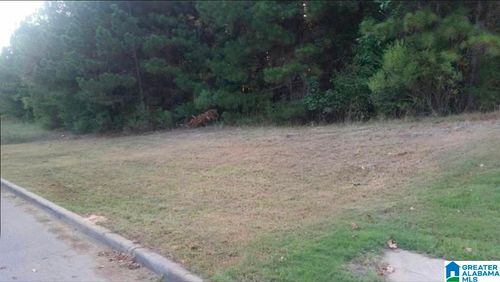1531-1064 Grande View Pass, MAYLENE, AL, 35114 | Card Image