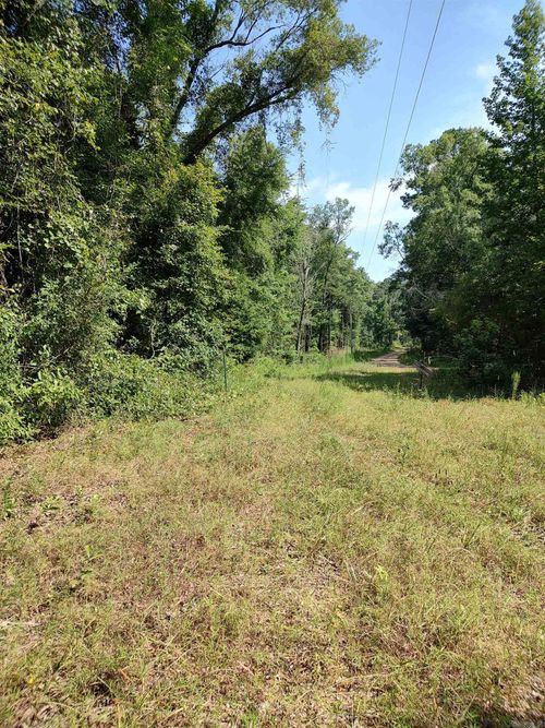 80 acres Calhoun 199 Road, Hampton, AR, 71744 | Card Image