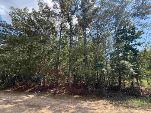 12965 Sandridge Rd, Vidor, TX, 77662 | Card Image