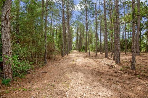 TBD Lot 3 Finke Rd, Plantersville, TX, 77363 | Card Image