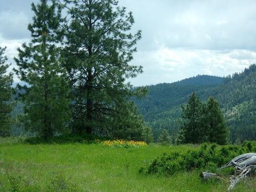 XXXO Hoag Rd, Valley, WA, 99181 | Card Image