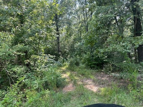 362 Byrdway Dr, Lowndesboro, AL, 36752 | Card Image