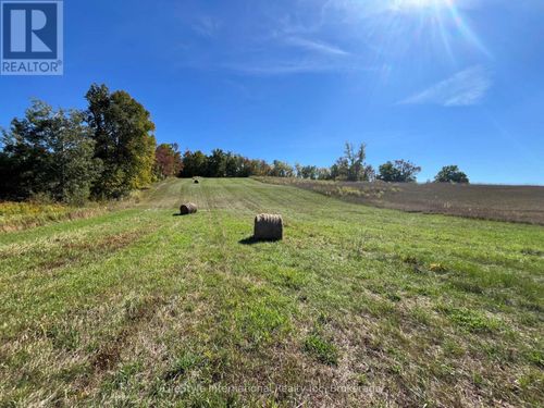 213 Vansickle Rd, Havelock, ON, K0L1Z0 | Card Image